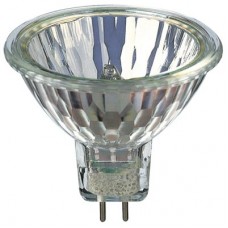 MR16 Halogen Normal MR16 Halogen Normal